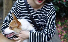 最后人类txt下载